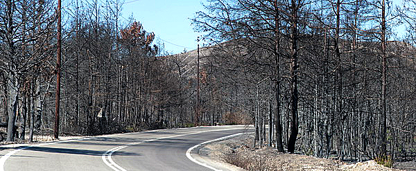 Waldbrand_Panorama12